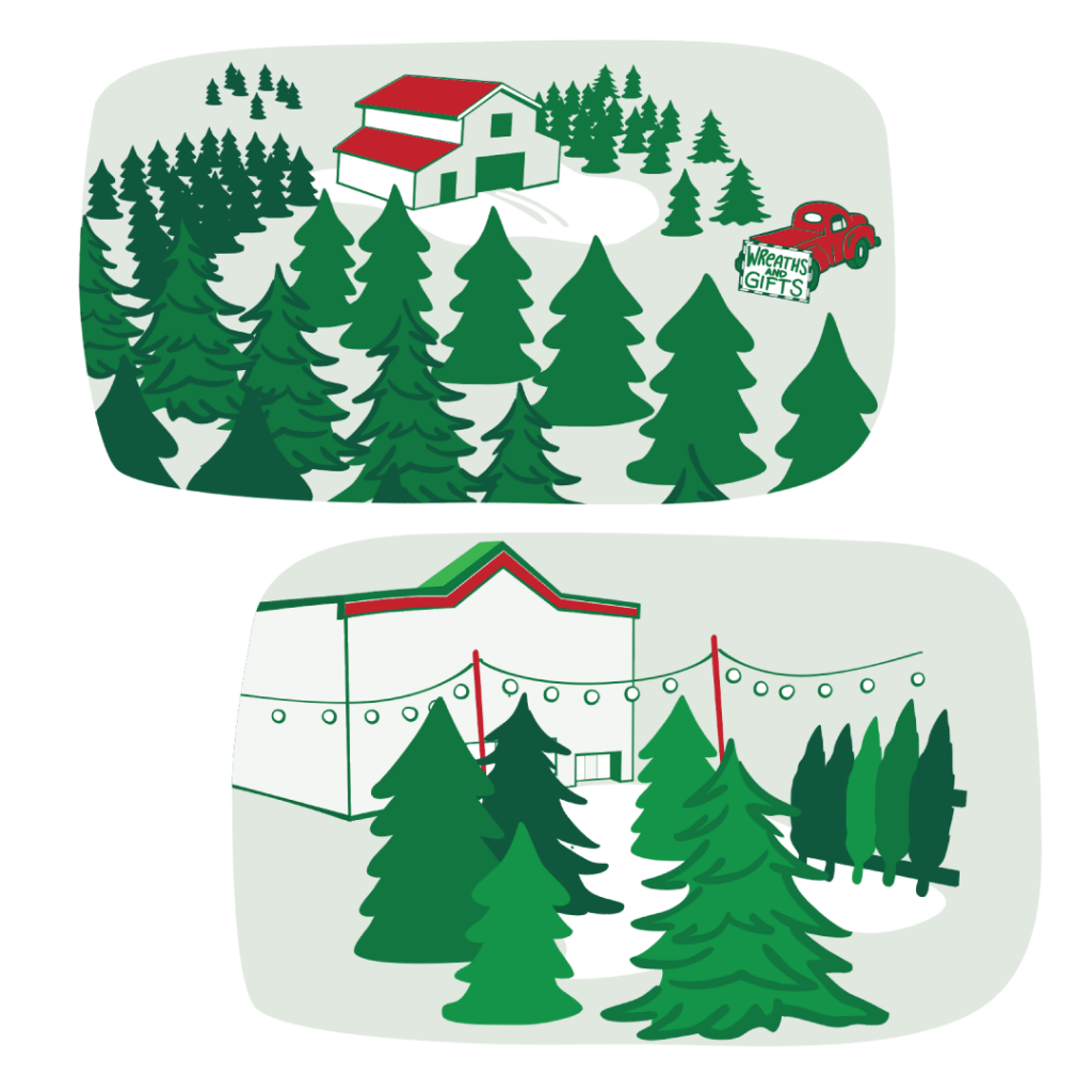 Illustration of a Christmas tree farm with a red pickup truck