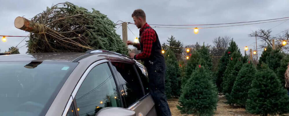 Man tying a real christmas tree to the top of a minivan